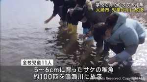 小学生が学校で育てたサケの稚魚を放流　宮城・大崎市
