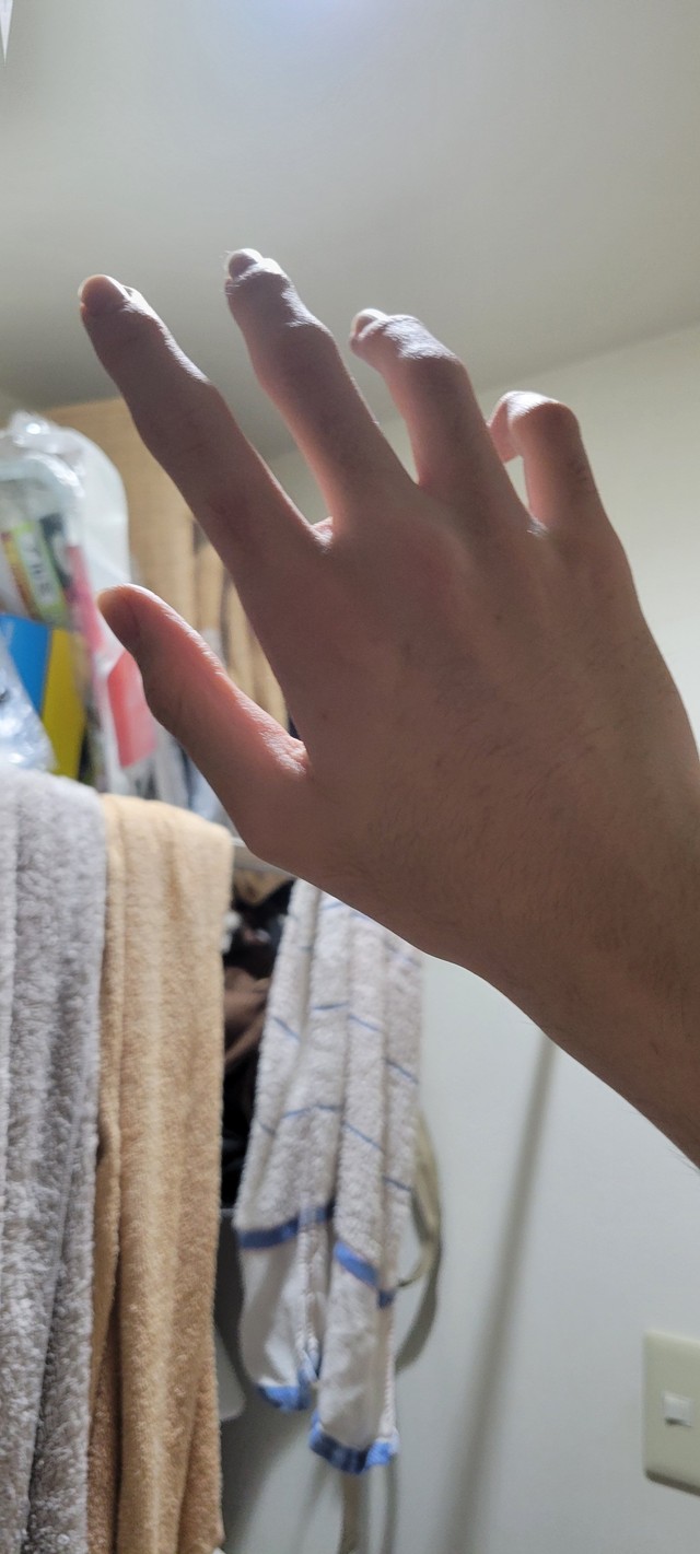 手のデッサンに使った手の写真
