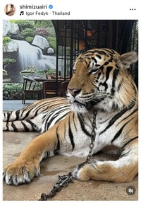 清水あいりインスタグラム＠shimizuairiより