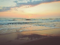 対象が変わると寂しさが消せない。引き出しを増やして孤独と向き合う