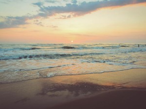 対象が変わると寂しさが消せない。引き出しを増やして孤独と向き合う