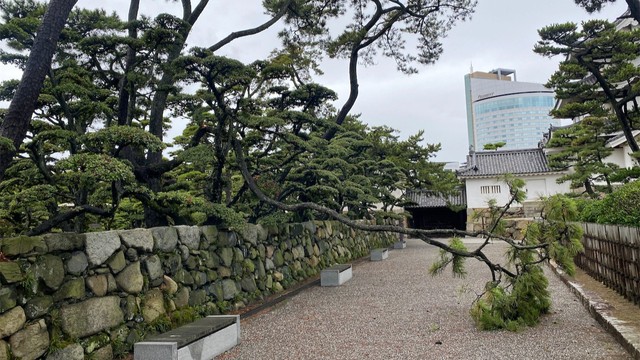 台風15号の影響で被害　玉藻公園の松の木が倒れる　香川・高松市