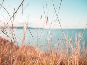 介護現場で知った現実。老後に「良かった」と思える生き方をしたい