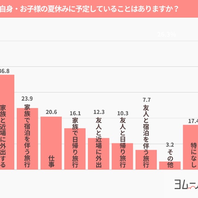 帰省以外で夏休みに予定していること