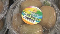 さぬきキウイっこをＰＲ