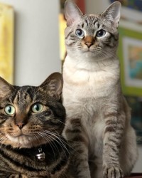 ラキくん（右）と一緒に。2匹ともりりしい表情