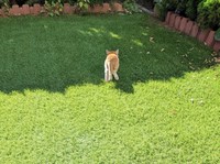 逃げていっちゃいました・・・（グミちゃんFamilyさん提供）