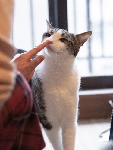 初めて会う人にもぐいぐい