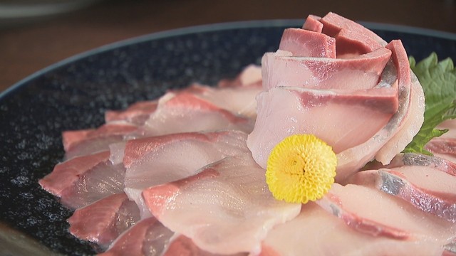 香川県は「ハマチ養殖発祥の地」　オリーブハマチを10月3日から販売　プレゼントキャンペーンも