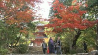 雪舟ゆかりの宝福寺で紅葉が見頃に　岡山・総社市