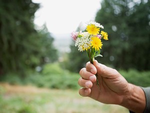 遺贈寄付とは？ メリットから必要な準備、注意点まで解説