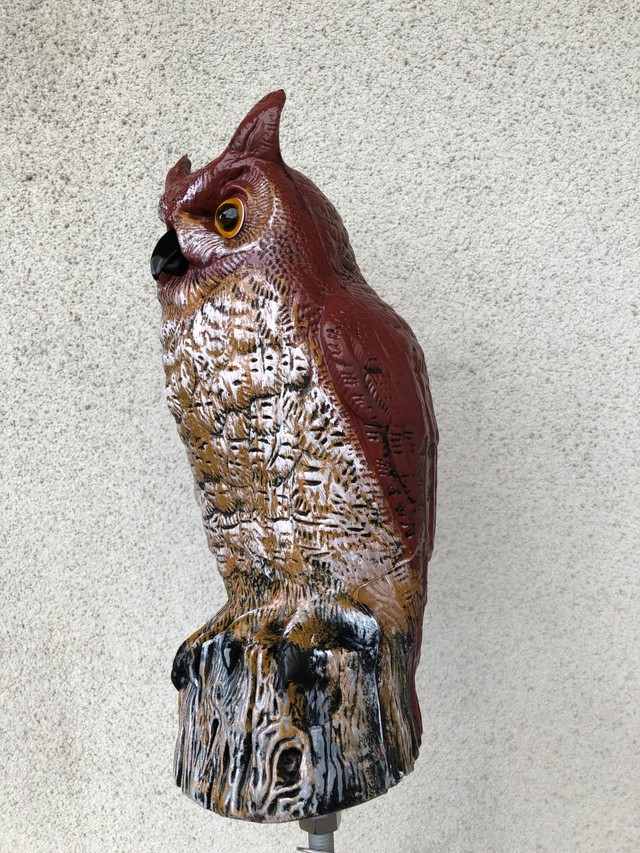 高さ50cmのポリエチレン樹脂製（画像：関西電力送配電）