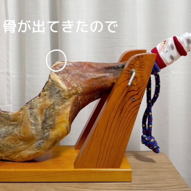 食べ進めると骨が出てきた…！（提供：@kuishinbo_teteさん）

