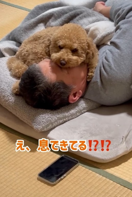 息できてる！？（飼い主さん提供、Instagramよりキャプチャ撮影）