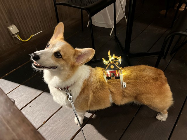 おみこしを背負った閣下