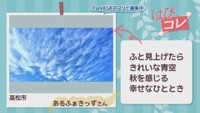 【はぴコレ】30年ぶりの最上稲荷・秋を感じるきれいな青空　11月11日放送