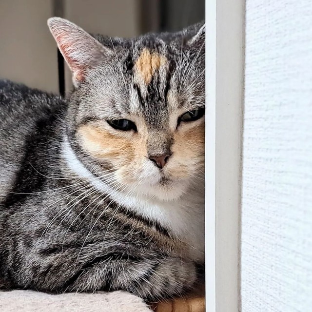 眠りに落ちていくところ