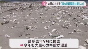 海岸に大量のカキ殻　前年に続き海水浴場の開設を見送りか　宮城・石巻市