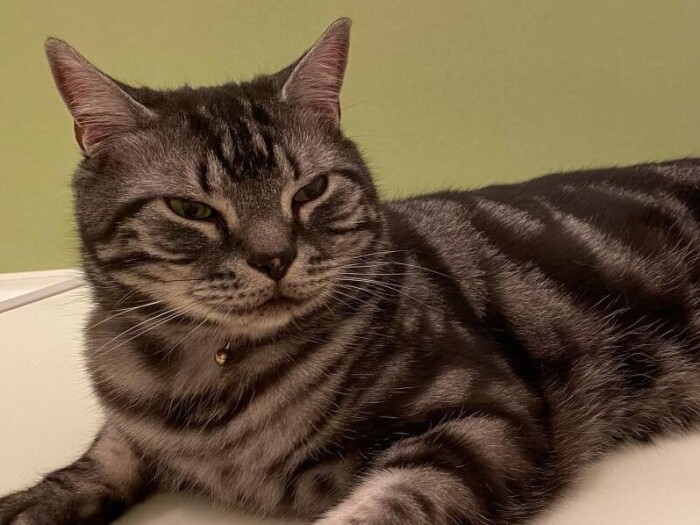 らーむ（laamu）


