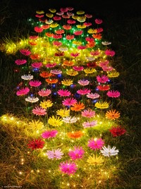 ライトアップされた様子