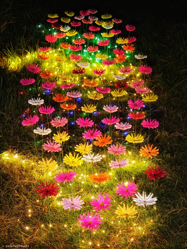 ライトアップされた様子