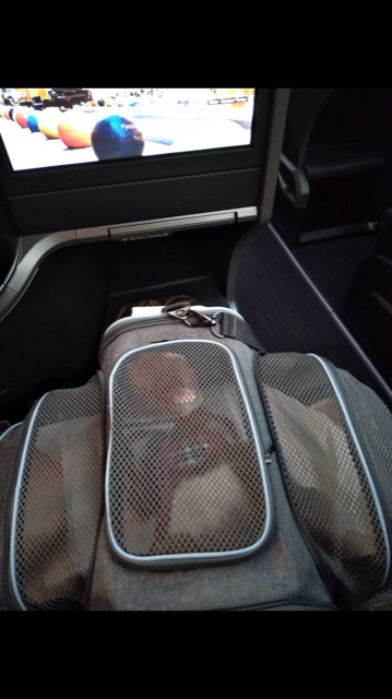 トルコに向かう機内で