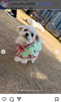 あ～ちゃんのインスタグラム＠a_chan.prfm_p000001より