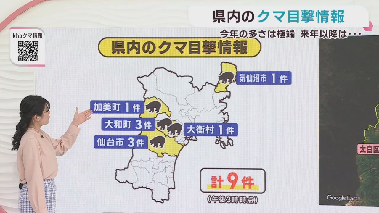 クマの目撃情報　宮城県　３日午後３時〜４日午後３時
