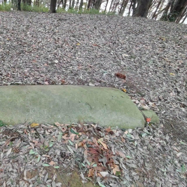 石棺の頭が地表に飛び出しています（あると紀はさん提供）