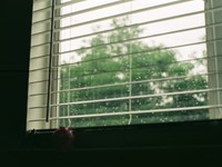 母は恐縮し私は困惑した。後ろめたさなんて言葉を知らなかったあの頃