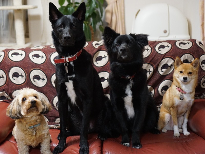 気をつけー！それぞれポーズを決めた４ショット