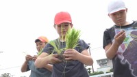 「ぬめぬめしていてびっくりした」　小学生が高校の農場で田植え体験　香川・さぬき市