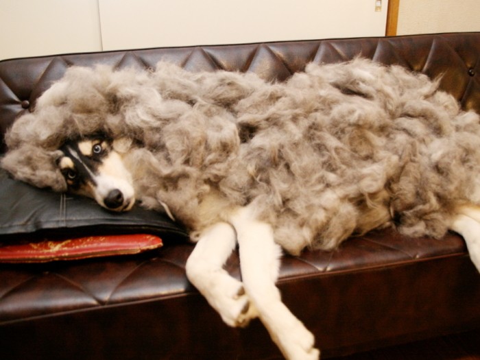 2回分くらいためてかぶせてみた