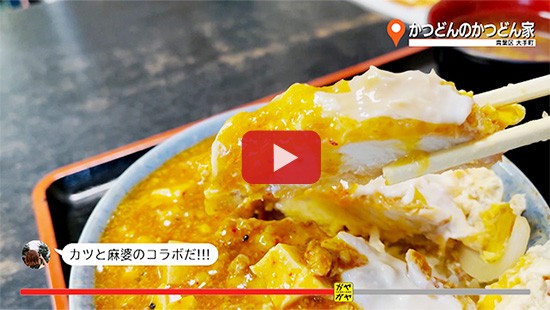 #704かつどんのかつどん家②