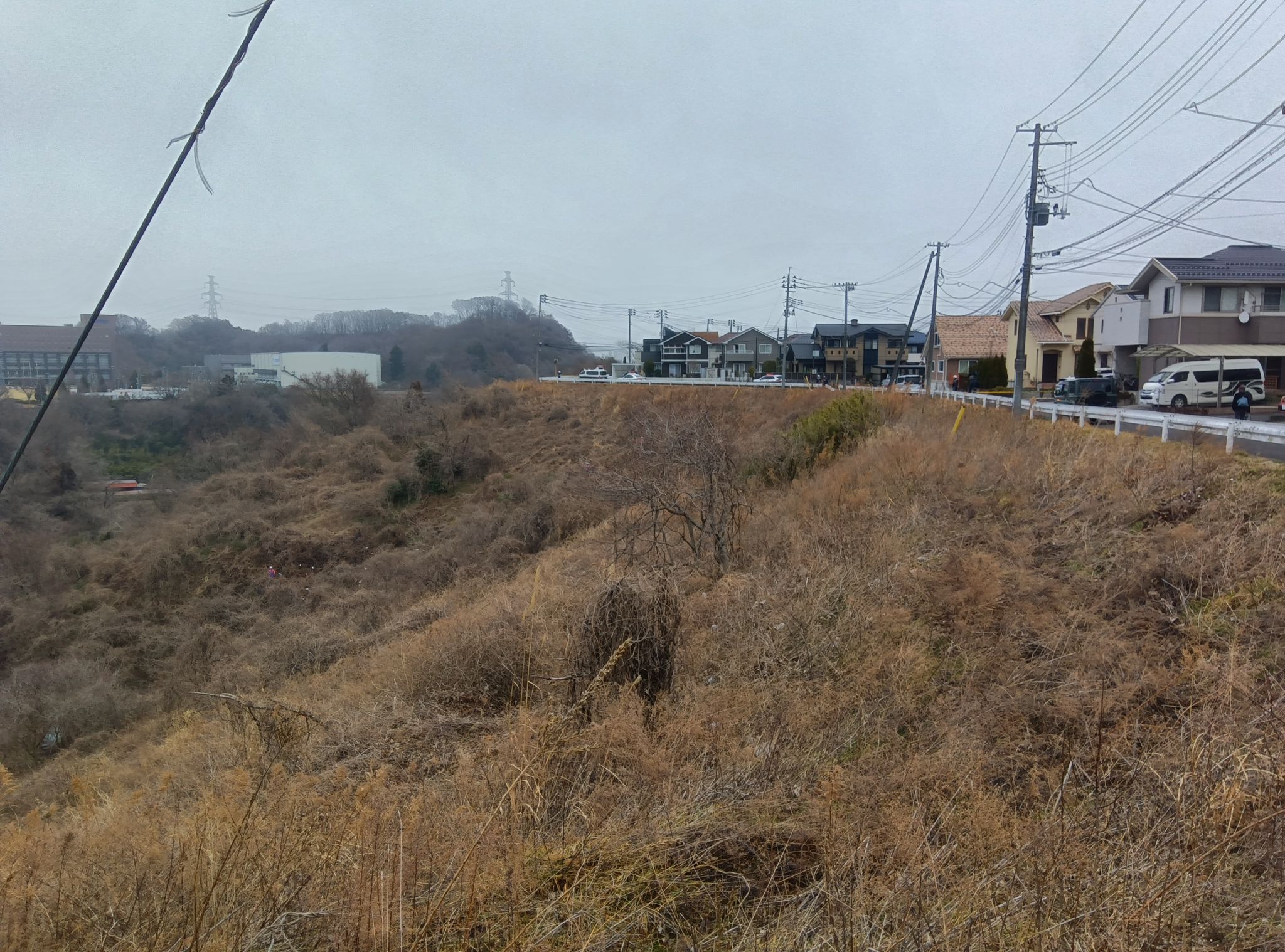 【速報】数１０メートル崖下に乗用車が転落　子ども含む３人けが　宮城・富谷市