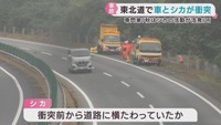 車がシカと衝突し計５台が事故　けが人は無し　宮城・栗原市の東北自動車道