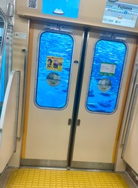 （投稿者提供）