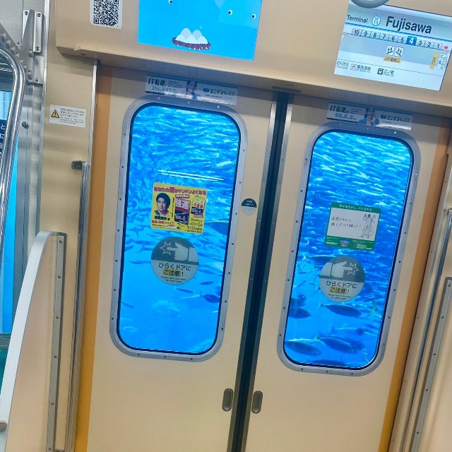 （投稿者提供）