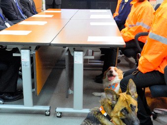 災害時、もっと速やかに救助犬が出動します！　ＮＰＯと協定