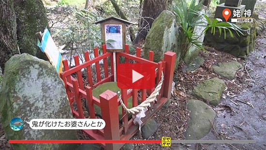 #273村田町 姥神