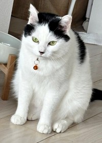 5歳になっためかぶちゃん。おやつ待ちの一枚（画像提供：硝子さん）