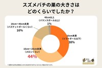 スズメバチの巣の大きさはどのくらいでしたか？（提供画像）
