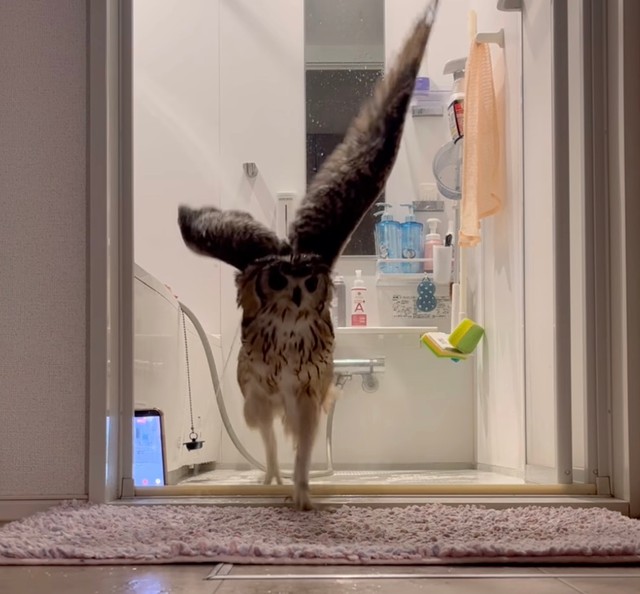 わぁーい♡（提供：@mozmoz0704さん）