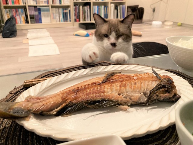 お魚大好き！食卓にあると、ついつい狙っちゃいます