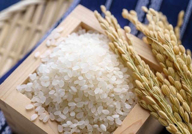 日本人の主食の「お米」※画像はイメージです（Wakko/stock.adobe.com）