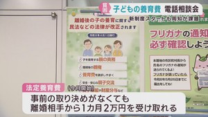 全国青年司法書士協議会　子どもの養育費　電話相談会