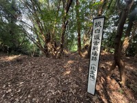 根白坂砦跡