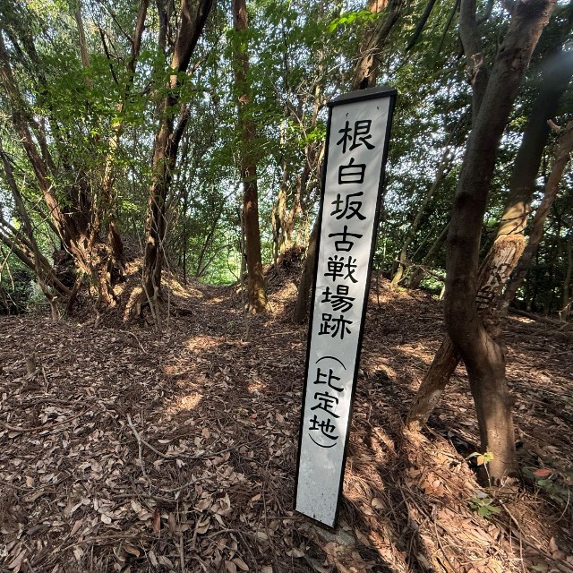 根白坂砦跡