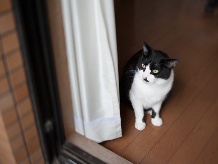 「悠然として南山を見る。陶淵明の気分だな」（小林写函撮影）