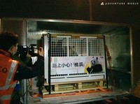 成都双流国際空港（中国四川省）に到着した桃浜